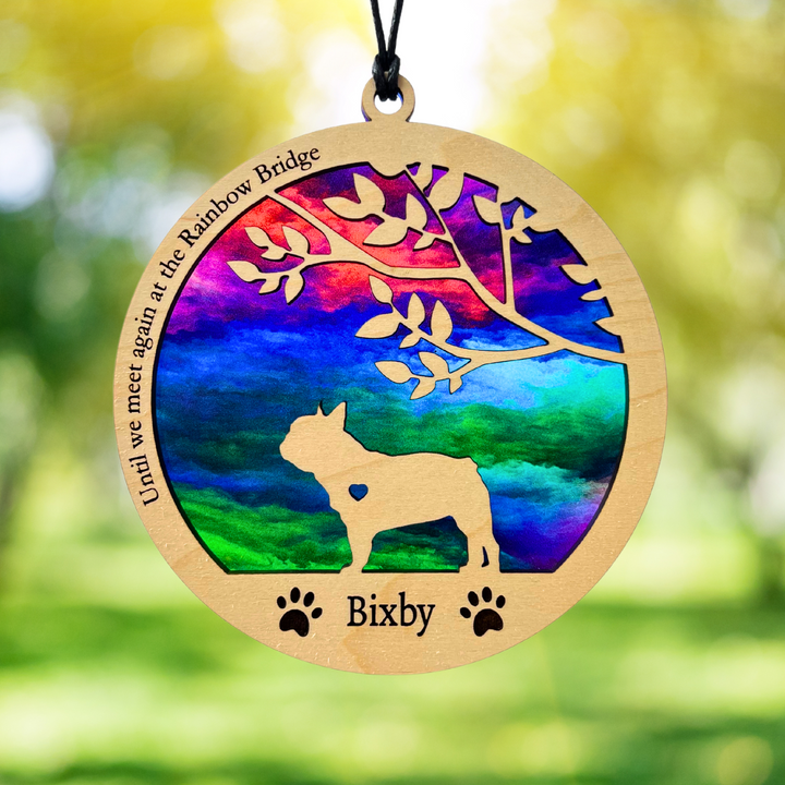 Dog Memorial Suncatcher - Rainbow Swirl