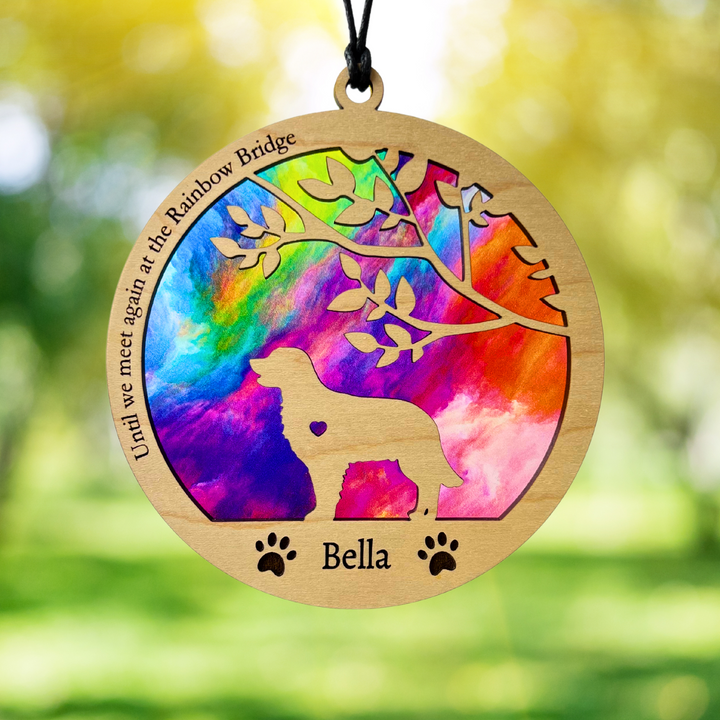 Dog Memorial Suncatcher - Rainbow Swirl