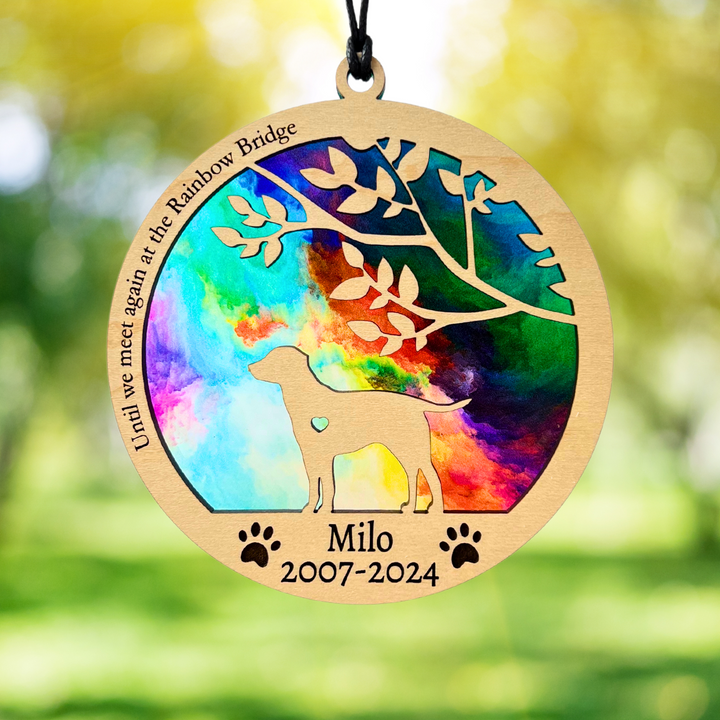 Dog Memorial Suncatcher - Rainbow Swirl